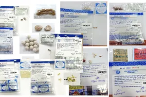 Kiểm nghiệm thuốc và thực phẩm: Khó đủ đường!