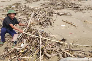 Ông Lê Văn Phùng (trú thôn Đông Văn, xã Đồng Tiến, tỉnh Hà Tĩnh) lo lắng nếu không sớm xử lý hết số rác này sẽ gây ô nhiễm nghiêm trọng dọc bờ biển