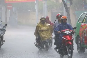 Miền Nam tiếp tục mưa gió diện rộng