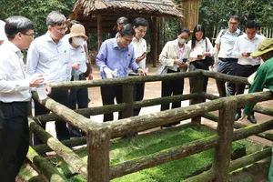 HĐND TPHCM khảo sát tìm giải pháp hỗ trợ giáo dục và bảo tồn di tích 