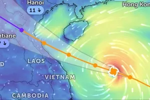Dự báo bão số 10 sẽ đổ bộ vào khu vực Nghệ An - Bắc Quảng Trị