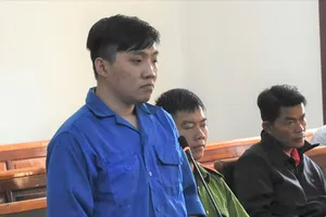 Đồng Nai: Cán chết người, tài xế xe tải lĩnh án 