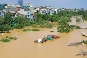 Nước lũ trên sông Hồng dâng cao gây ngập lụt tại khu vực ven sông ở phường Hồng Hà, TP Hà Nội