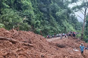 Sạt lở nghiêm trọng, hơn 800 hộ dân xã vùng cao Nghệ An bị cô lập