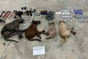 Tang vật lực lượng thu giữ trên xe ô tô