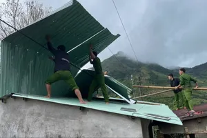 Quảng Ngãi: Hàng trăm cán bộ giúp dân sửa chữa nhà ở