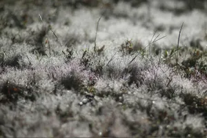 Tâm tình của người thầy