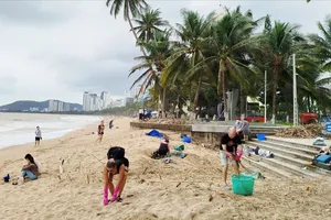 Du khách nước ngoài chung tay cùng người dân, cơ quan chức năng Khánh Hòa dọn dẹp bãi biển bị ảnh hưởng do mưa lũ