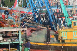 Lâm Đồng: Ứng phó bão số 15, cấm tàu thuyền hoạt động trên biển