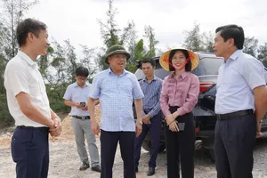 Quảng Trị: Cấp xã cho thuê hơn 320ha đất làm khu công nghiệp