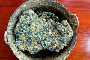 Một phần tiền cổ được phát hiện tại xã Sơn Kim 2