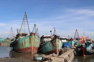 Xã Long Hải kiến nghị phối hợp quản lý tàu cá không đủ điều kiện