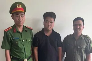 Khởi tố 7 người vì đào xác heo bệnh, xẻ thịt bán