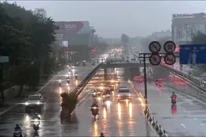 Từ 12-1 đến 10-2, tiếp tục mưa diện rộng tại Trung bộ và Tây Nam bộ