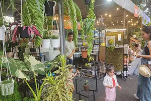 Sinh vật cảnh làm đẹp đô thị