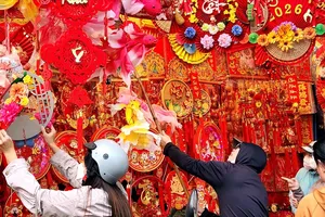 Rực rỡ phố tết