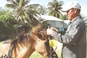 “Nặng nợ” với nghề 