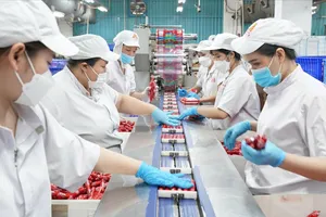 Gần 2.600 sản phẩm nông nghiệp nhập khẩu vào Trung Quốc bị yêu cầu đăng ký 