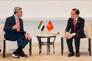 Bộ trưởng Ngoại giao Lê Hoài Trung gặp Bộ trưởng Ngoại giao UAE, Ai Cập và Thổ Nhĩ Kỳ