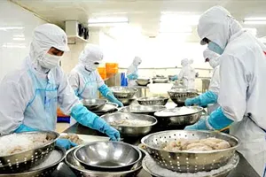 Rộn ràng đơn hàng xuất khẩu khai xuân