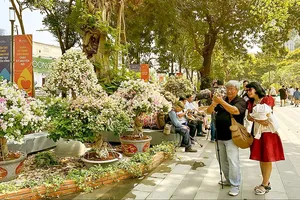 Ngày xuân nhiều thông điệp ở Công viên số 1 Lý Thái Tổ