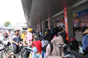 Giá xăng dầu tăng mạnh nhưng doanh nghiệp vận tải chưa tăng giá vé