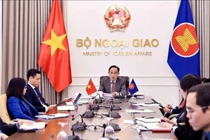 Bộ trưởng Bộ Ngoại giao Lê Hoài Trung phát biểu trực tuyến tại cuộc họp. Ảnh: TTXVN