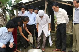 Dịch bệnh sốt xuất huyết và tay chân miệng tăng rất cao, Bộ Y tế chỉ đạo khẩn