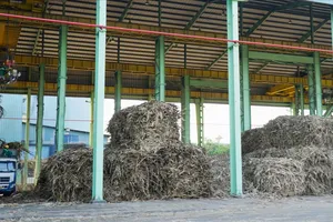 Khánh Hòa: Người dân lo ngại ô nhiễm môi trường quanh khu vực nhà máy đường