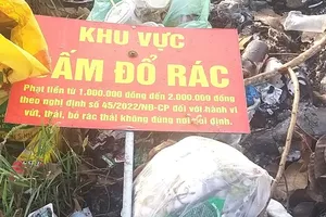 Ngang nhiên nhổ bỏ biển cấm