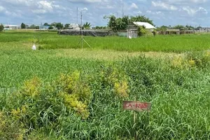 Khoảng lùi... xây nhà