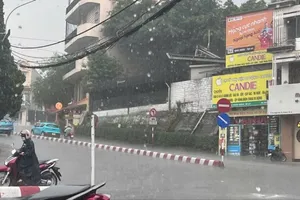 Lâm Đồng: Xuất hiện cơn mưa "vàng” giải nhiệt 