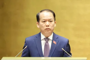 Hình thành đội ngũ luật sư chuyên nghiệp để bảo vệ lợi ích của Nhà nước