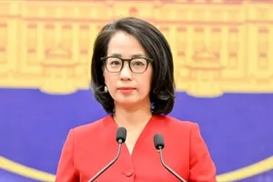 Việt Nam kiên quyết chống, xử lý nghiêm các vi phạm sở hữu trí tuệ