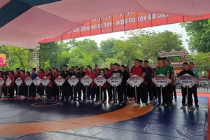 Gần 350 VĐV tham gia tranh tài tại Giải vô địch các Câu lạc bộ vật tự do, vật cổ điển quốc gia năm 2026