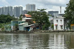 Đẩy nhanh xây kè chống sạt lở sông, rạch