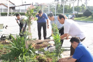 Lan tỏa hành động xanh từ khu dân cư đến từng tuyến phố