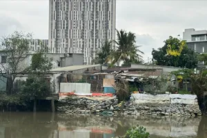 Những căn nhà bên bờ sông Giồng Ông Tố, phường Bình Trưng bị sạt lở, người dân phải dùng bao cát, đất để chống sạt lở. Ảnh: THANH HIỀN