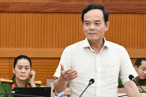 TPHCM tập trung hoàn thành cơ sở dữ liệu về đất đai phục vụ người dân