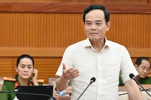 TPHCM tập trung hoàn thành cơ sở dữ liệu về đất đai phục vụ người dân