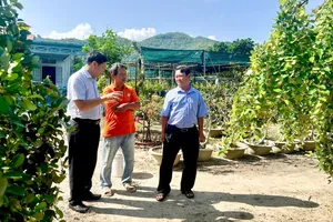 Đoàn thăm vườn táo của ông Nguyễn Văn Hồng (ấp Hải Điền). Ảnh: THÀNH HUY