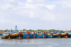 Hiện thành phố có 2.225 tàu cá dài từ 15m trở lên thuộc diện bắt buộc lắp đặt thiết bị VMS. Ảnh: THÀNH HUY