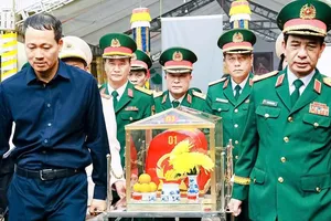 Triển khai tìm kiếm, quy tập hài cốt liệt sĩ tại khu vực xã Minh Đức, TP Đồng Nai