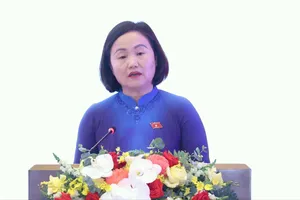 Phó Chủ nhiệm Ủy ban Kinh tế và Tài chính Phạm Thúy Chinh trình bày tham luận tại diễn đàn. Ảnh: QUANG PHÚC