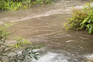 Thời điểm cơ quan chức năng địa phương lấy mẫu nước vào ngày 2-8 