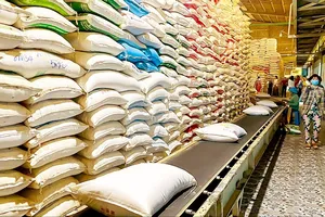 Tạo nền tảng lâu dài cho xuất khẩu gạo