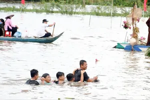 Đồng Tháp Mười nhộn nhịp mùa nước nổi, du khách thích thú tắm đồng