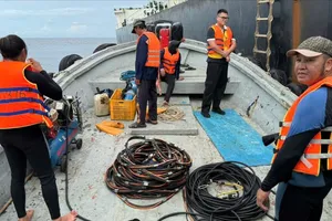 Quảng Ngãi: Tàu chở hơn 174.000 tấn quặng sắt gặp sự cố nghi va vào đá ngầm