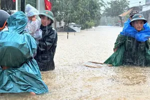 Mưa lớn gây ngập, sạt lở ở Đà Nẵng, Quảng Ngãi