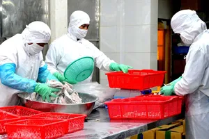 Doanh nghiệp thủy sản Việt Nam cần rà soát phụ gia khi xuất khẩu sang Mỹ